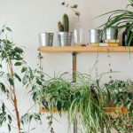 10 Fresh Garden Ideas for Balcony That Actually Work in Tight Spaces