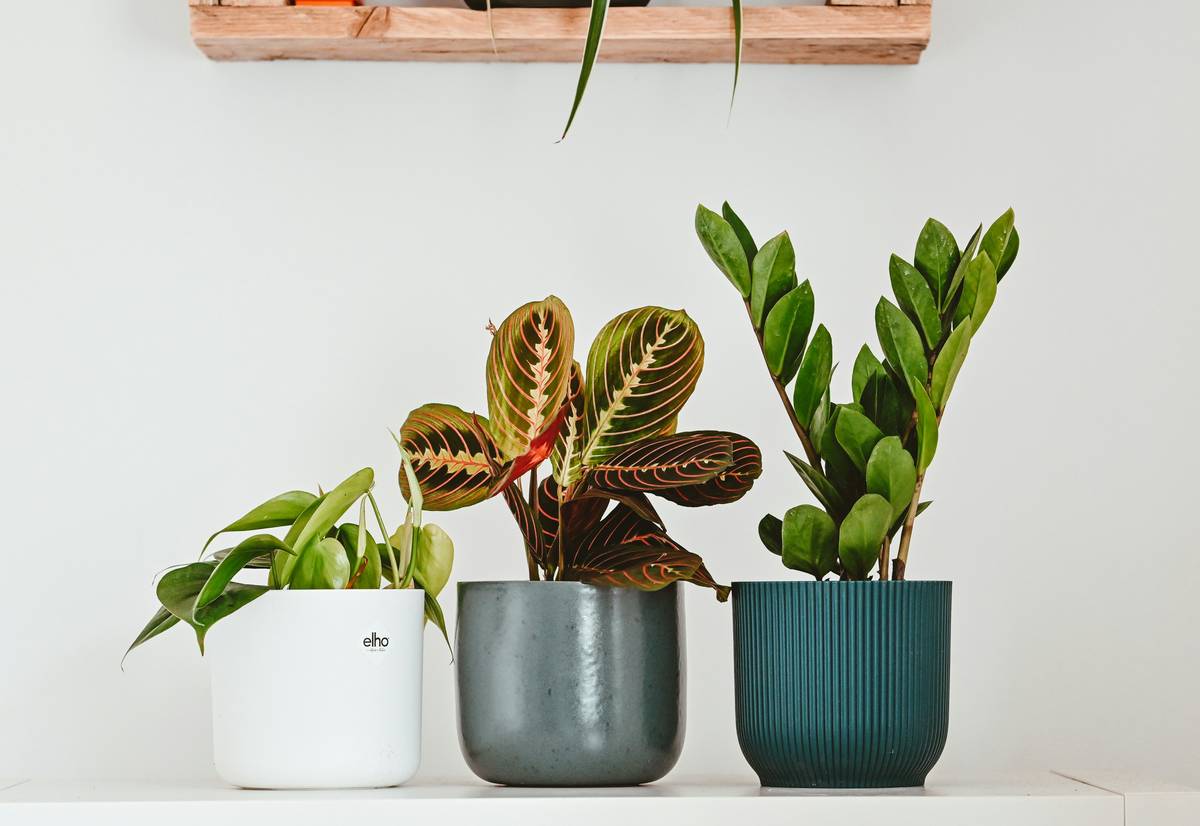 starter garden ideas for balcony with railing planters and floor pots