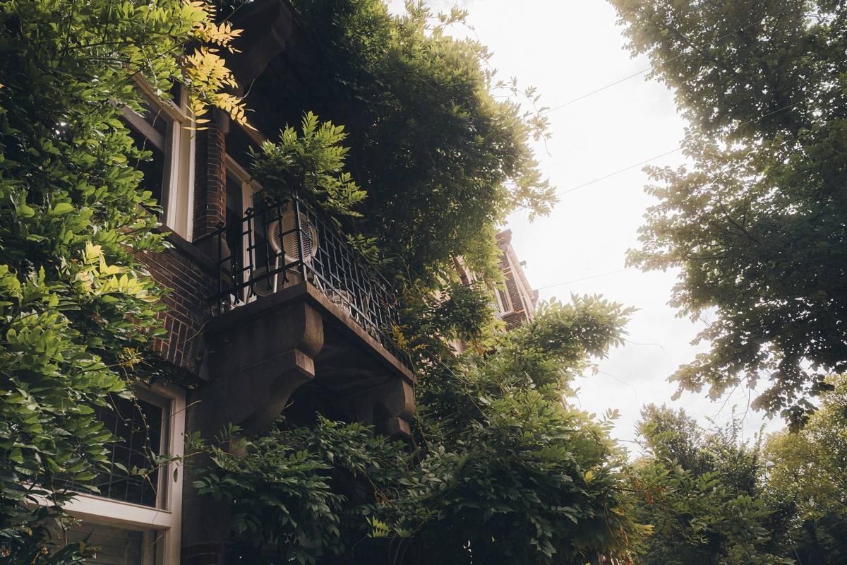 Balanced planter layout in a balcony garden apartment showing weight distribution and light zoning