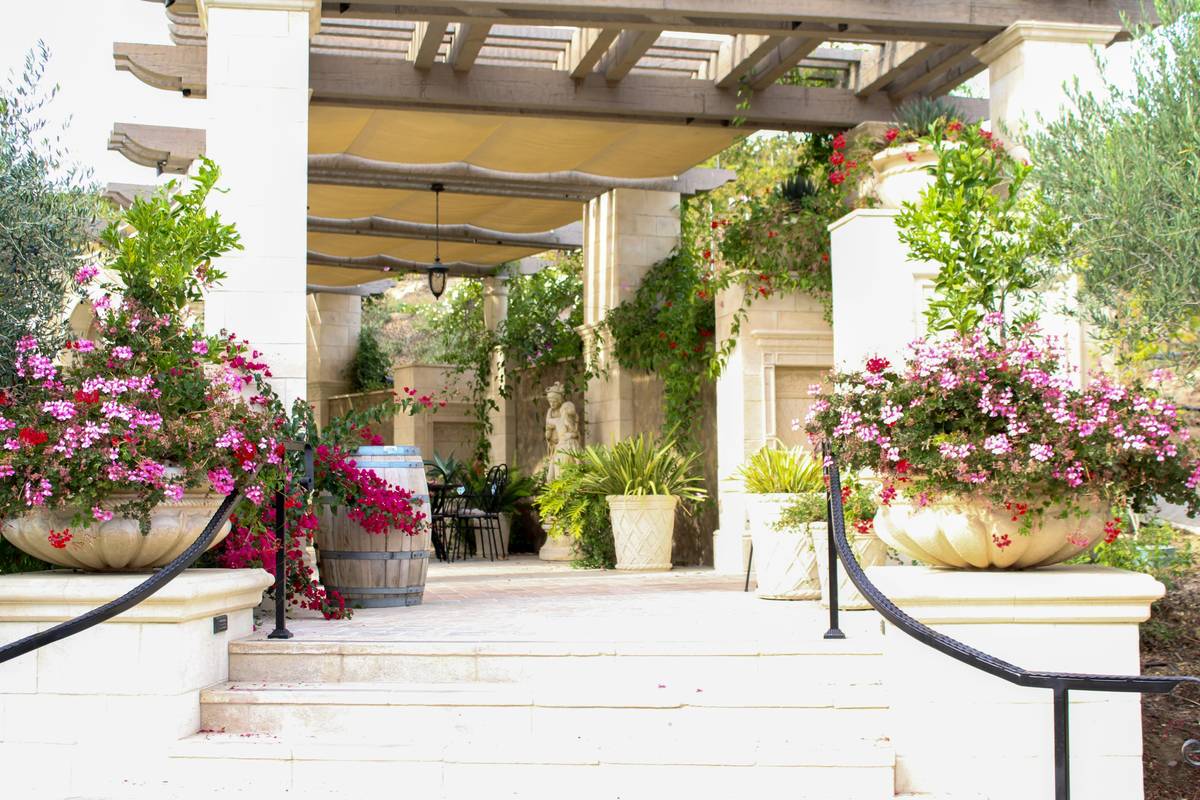 Balcony Garden Containers: 7 Proven Tips to Avoid Costly Mistakes