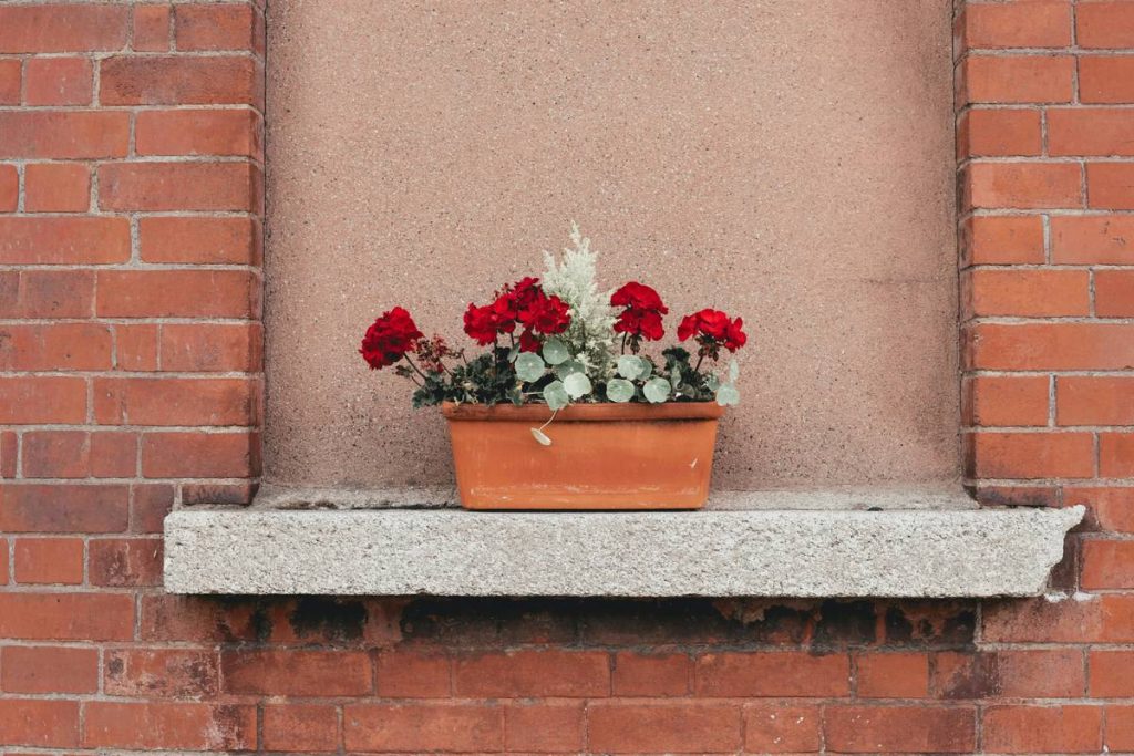 Plant Material Planter Garden Pot Outdoor: 7 Proven Tips to Avoid Costly Mistakes
