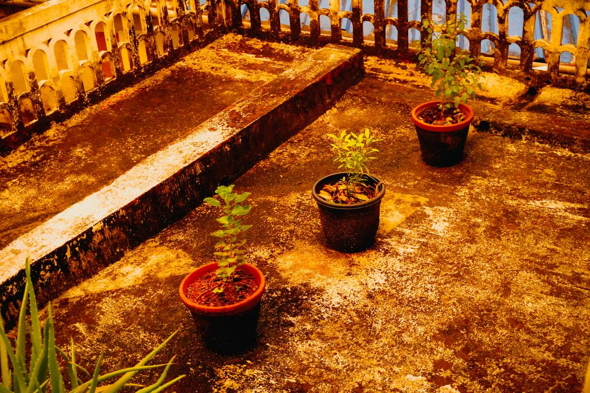 Assorted balcony garden containers with drainage holes on a small urban balcony