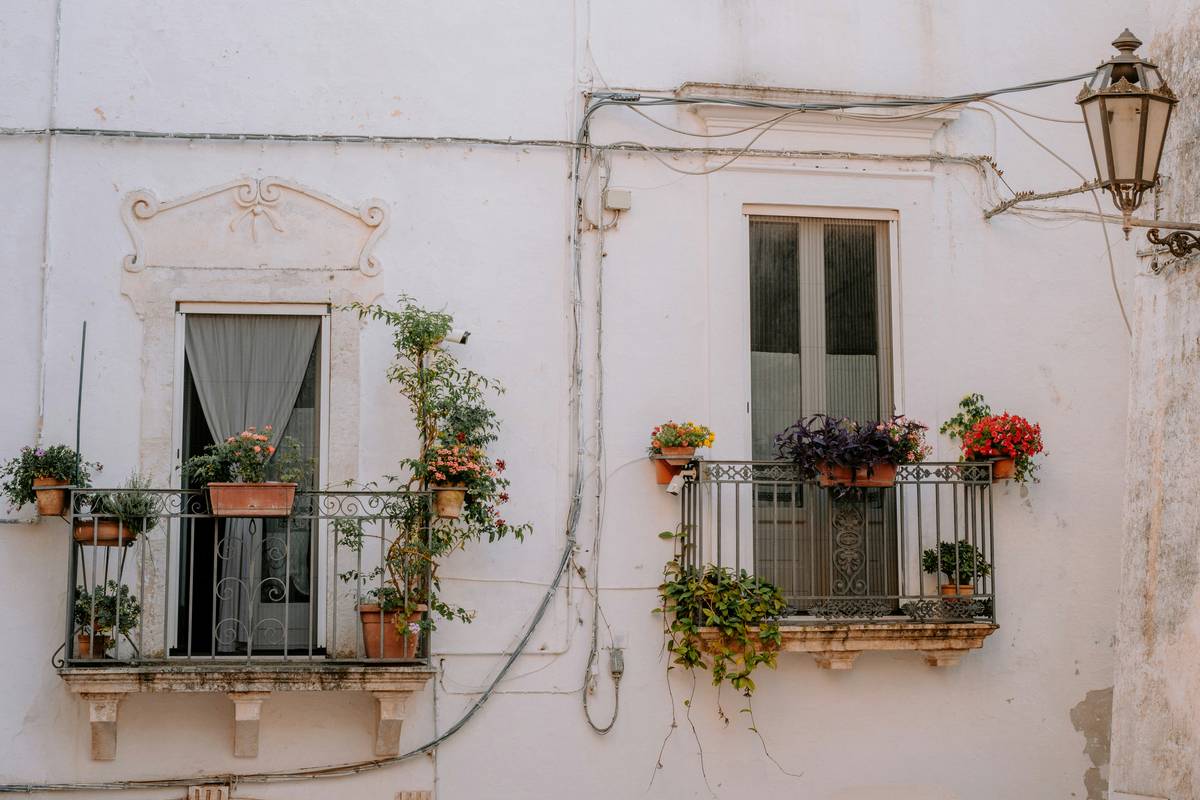 Balcony Garden Captions: 7 Proven Tips to Avoid Costly Mistakes