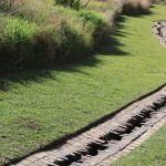 Drainage Garden Decor: 7 Proven Tips to Avoid Costly Mistakes