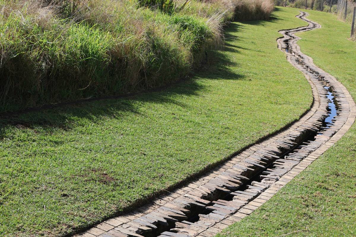 Drainage Garden Decor: 7 Proven Tips to Avoid Costly Mistakes
