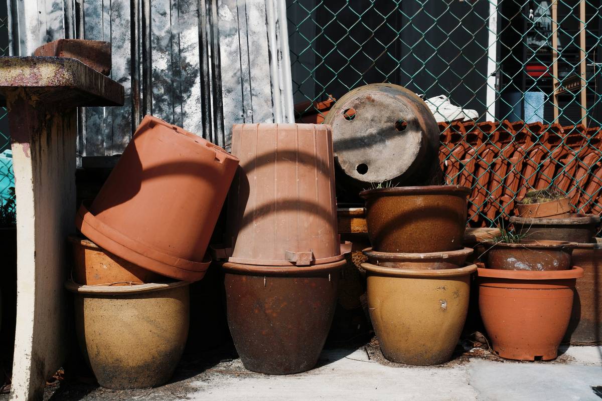 plant material planter garden what to thriving mixed container with thriller, filler, and spiller plants