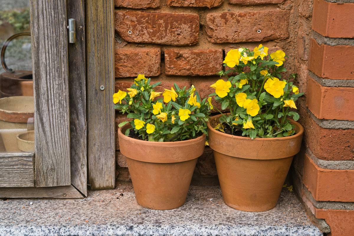 Plant Material Planter Garden Pot Beautiful: 7 Proven Tips to Avoid Costly Mistakes