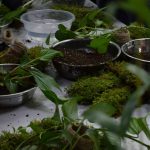 Plant Material Planter Garden What To: 7 Proven Tips to Avoid Costly Mistakes