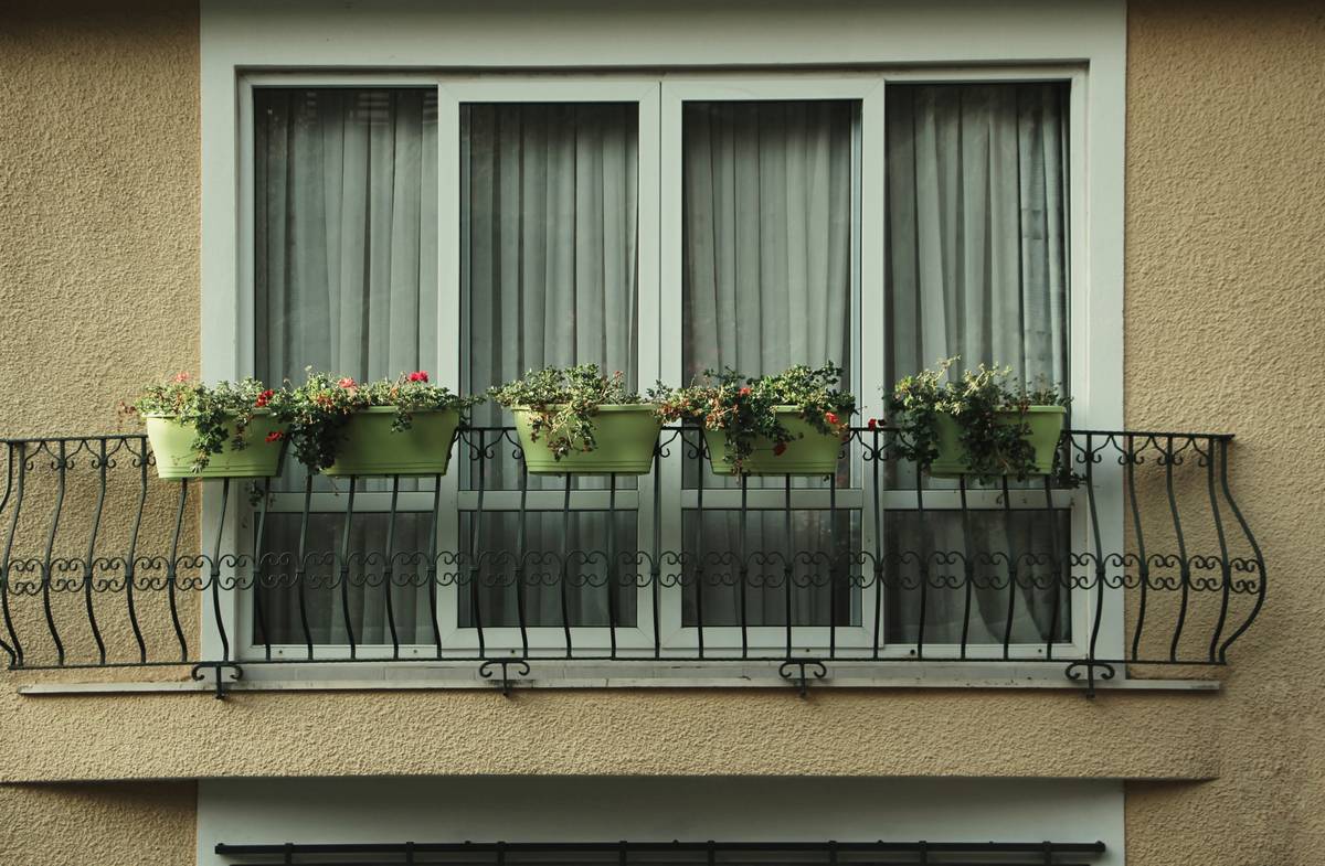 What to Plant in Outdoor Planters: 7 Proven Tips to Avoid Costly Mistakes