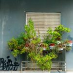 Balcony Garden Easy: 7 Proven Tips for Effortless Outdoor Living