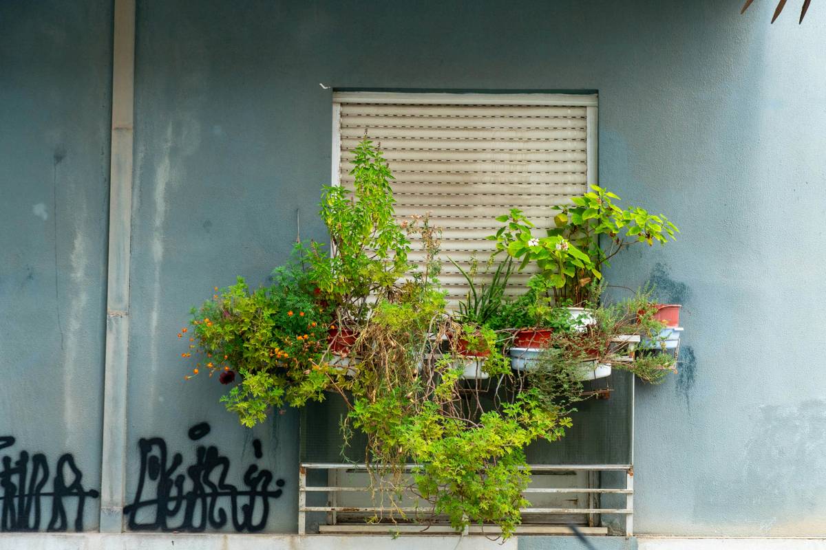 Balcony Garden Easy: 7 Proven Tips for Effortless Outdoor Living