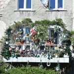Balcony Garden Essentials: 7 Proven Tips to Avoid Costly Mistakes