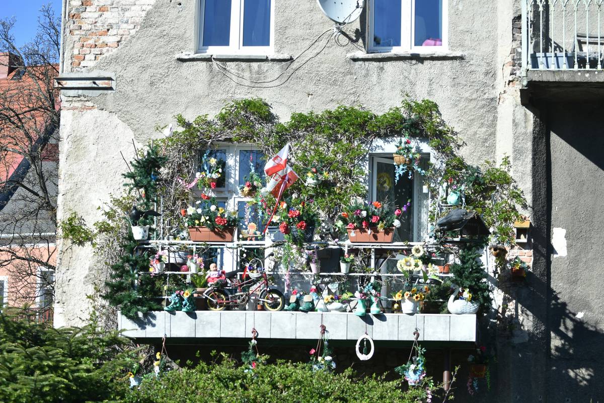 Balcony Garden Essentials: 7 Proven Tips to Avoid Costly Mistakes