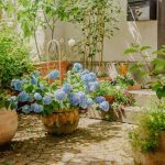 Ceramic Garden Decor: 7 Proven Reasons Your Outdoor Space Deserves This Elegant, Fragile (But Fixable) Upgrade