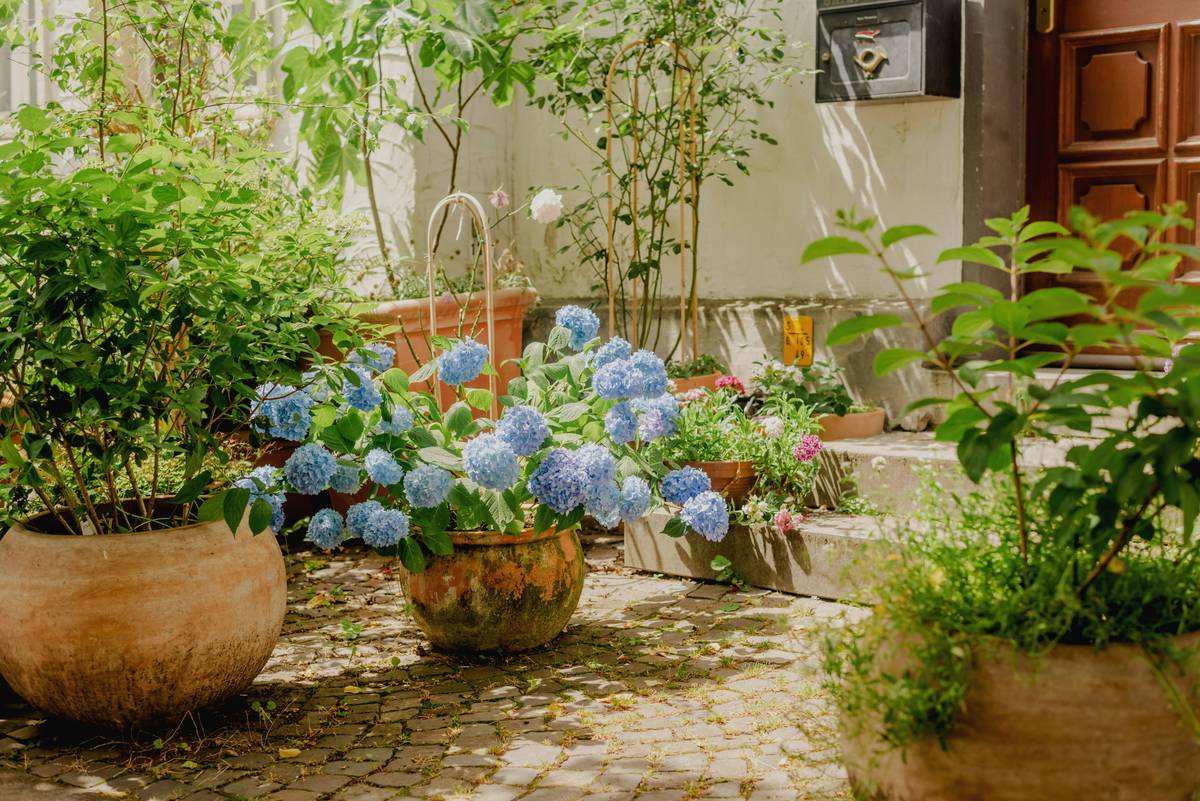 Ceramic Garden Decor: 7 Proven Reasons Your Outdoor Space Deserves This Elegant, Fragile (But Fixable) Upgrade