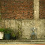 Plant Material Planter Garden What Are: 7 Essential Answers to Avoid Costly Mistakes