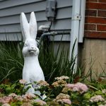 Plastic Garden Decor: 7 Proven Reasons to Choose It Over Terracotta (and When Not To)