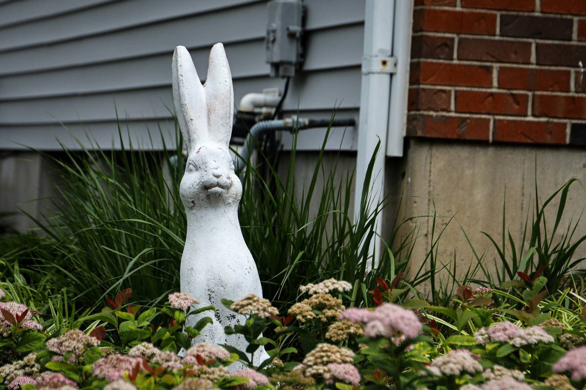 Plastic Garden Decor: 7 Proven Reasons to Choose It Over Terracotta (and When Not To)