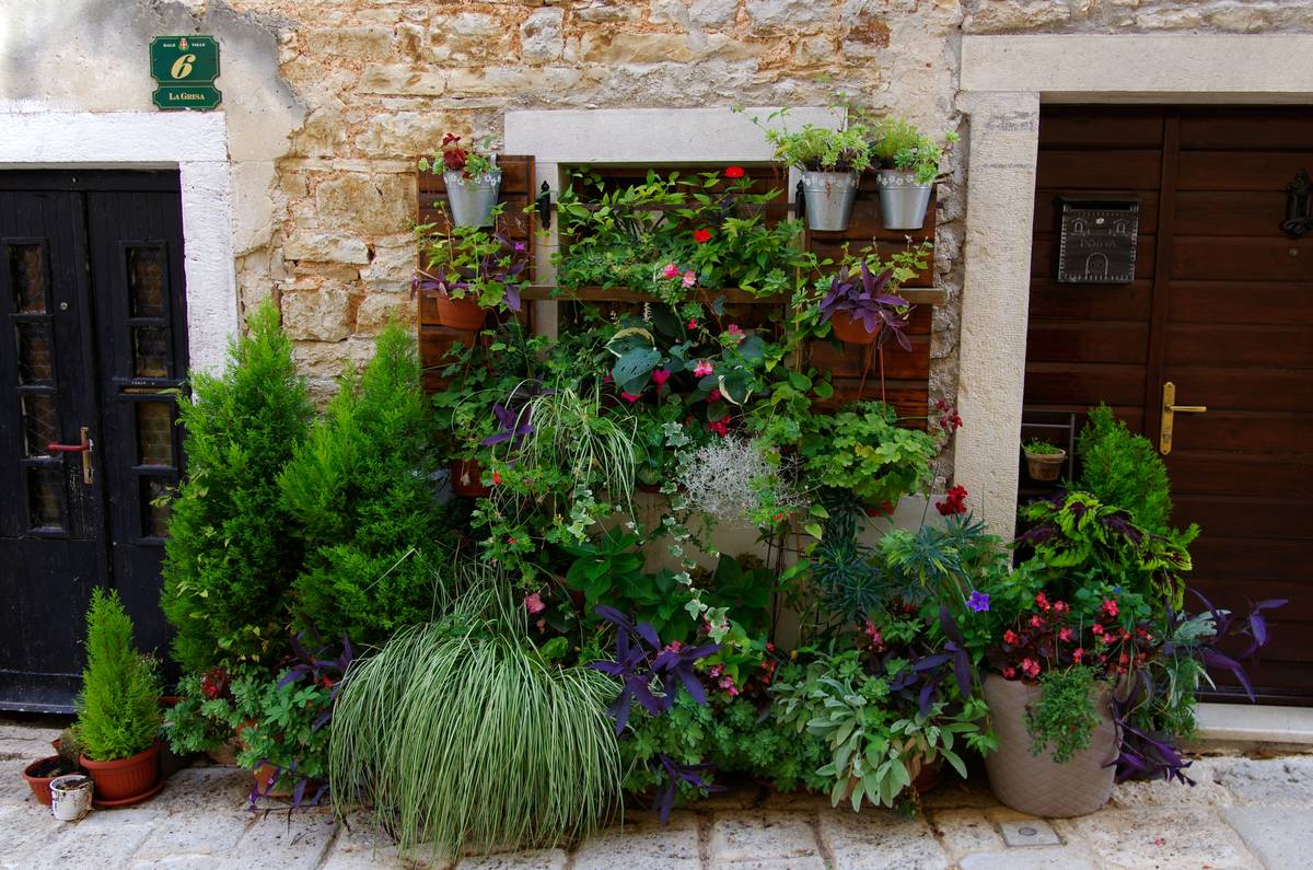 Tall Garden Decor: 7 Proven Tips to Avoid Costly Mistakes